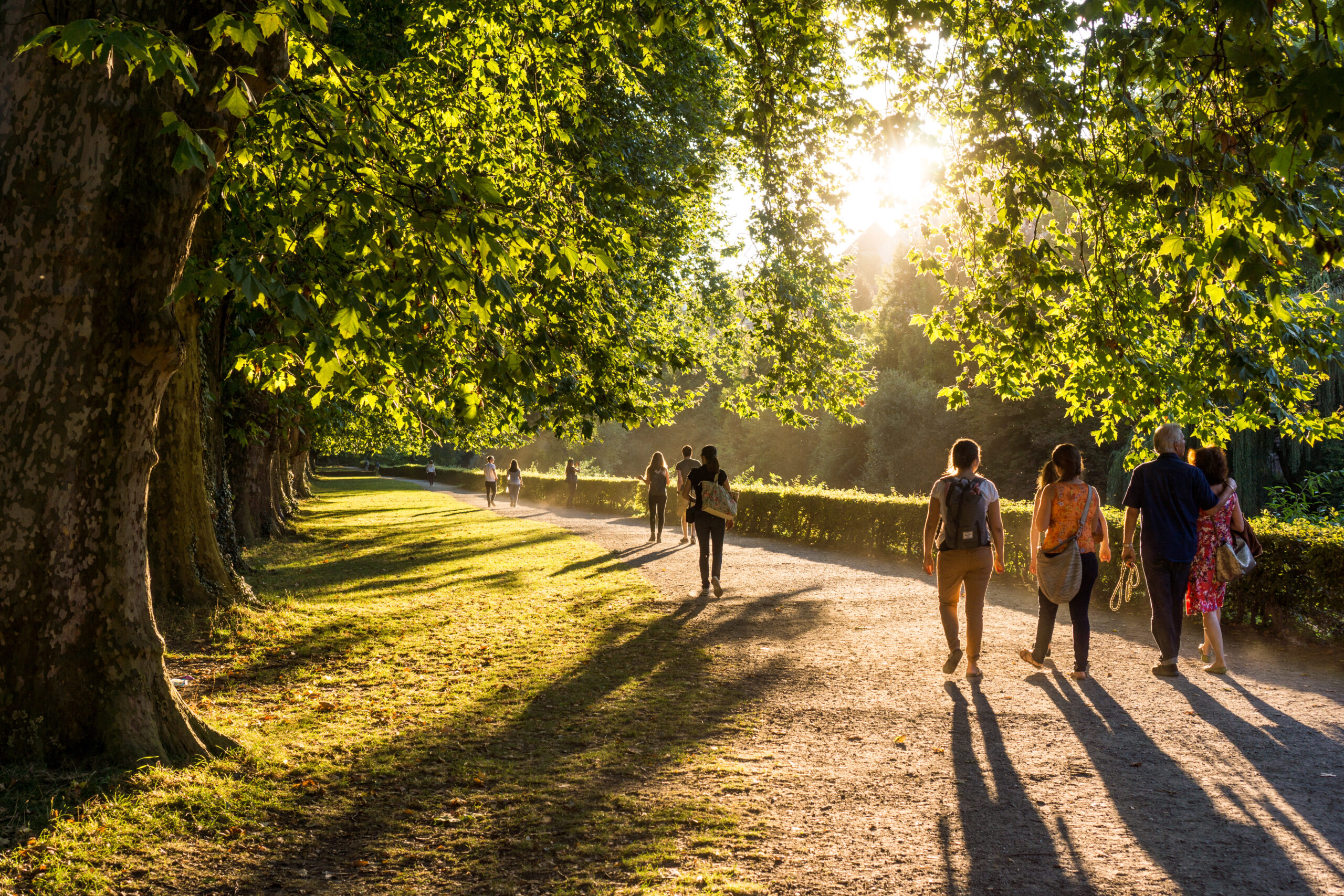 People strolling in a park